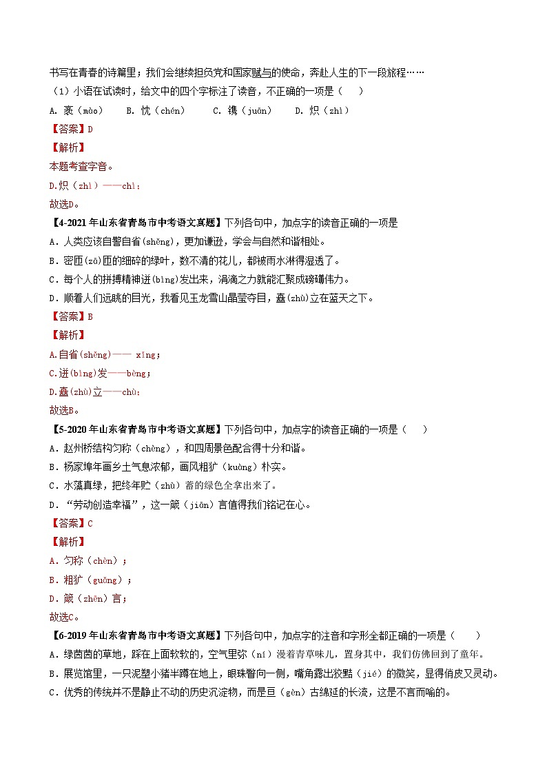 专题01 字音辨析-备战2025年中考语文专项精练（山东青岛专用）（解析版）第2页