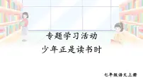 初中语文人教部编版(2024)七年级上册(2024)第四单元专题学习活动少年正是读书时课文课件ppt