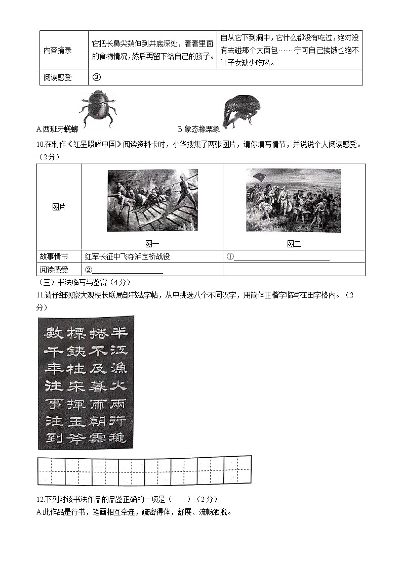 云南省昆明市嵩明县2023-2024学年八年级上学期期末语文试题第3页