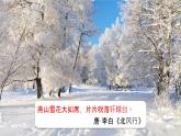 课件：部编版语文九年级上册第1课 沁园春•雪