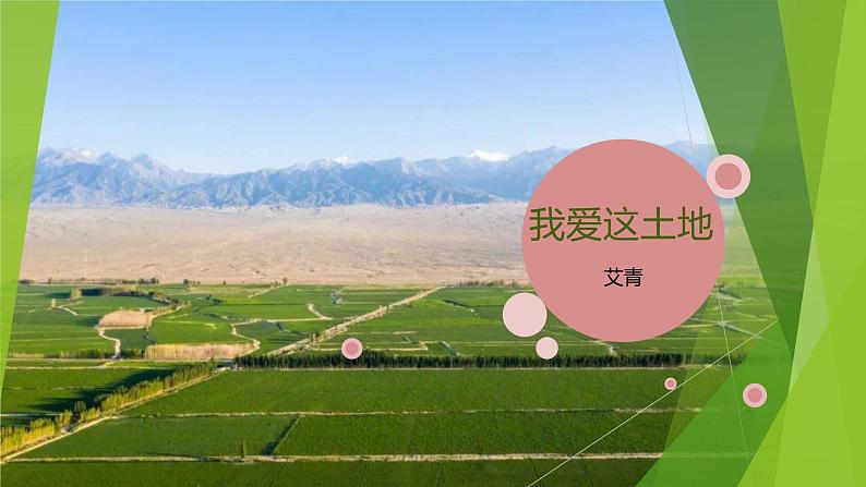 课件：部编版语文九年级上册第3课 我爱这土地第1页