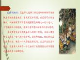 课件：部编版语文九年级上册第六单元　第二十二课　智取生辰纲　第二课时