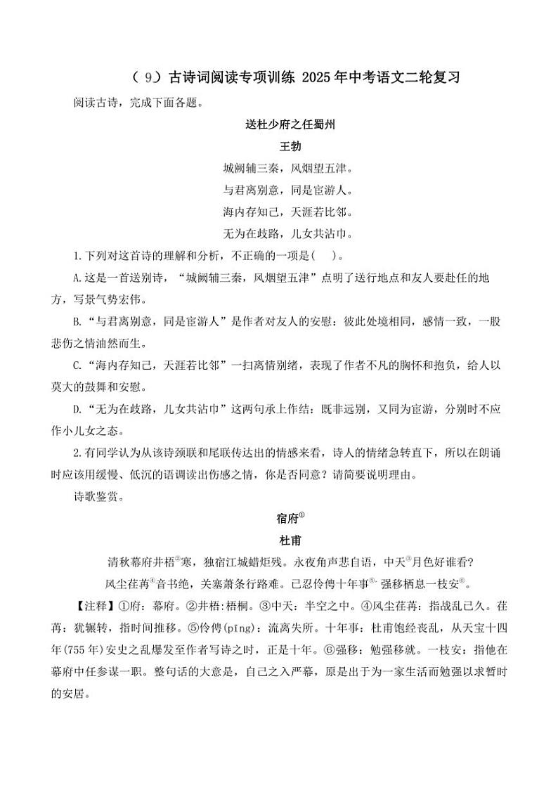 （9）古诗词阅读专项训练 2025年中考语文二轮复习（含解析）第1页