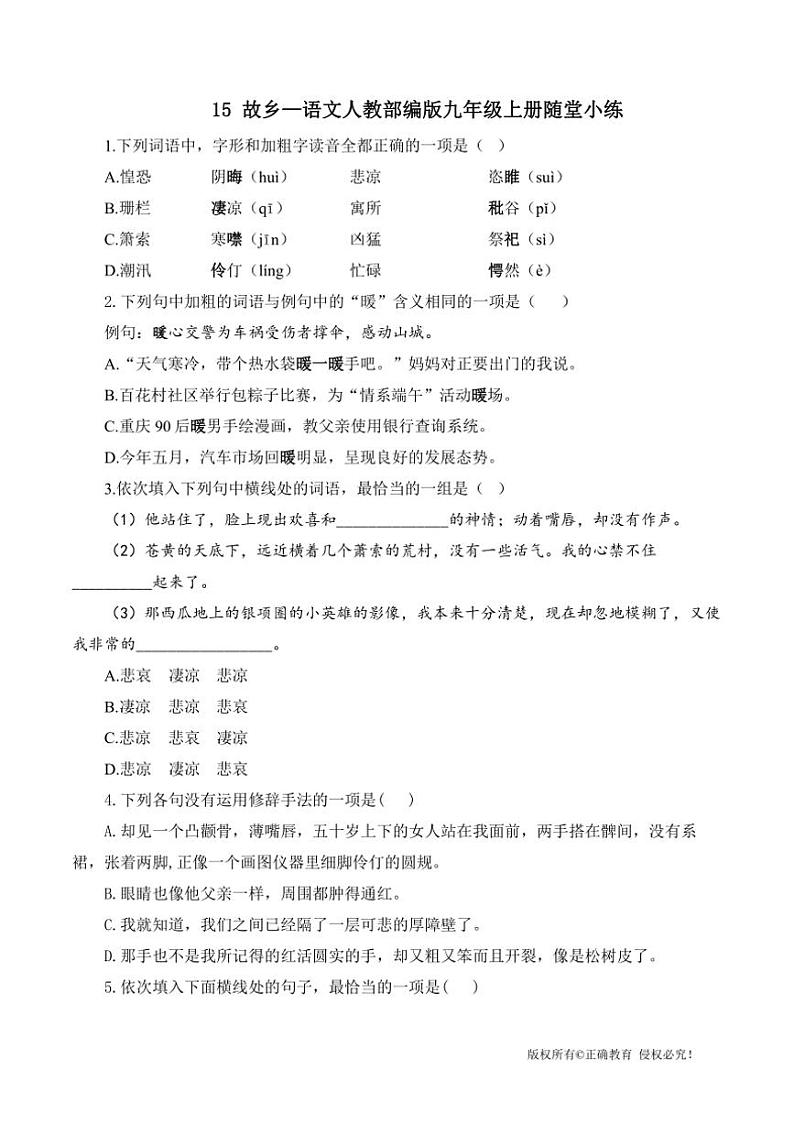 人教部编版语文九年级上册随堂小练 第15课 故乡（含答案）01