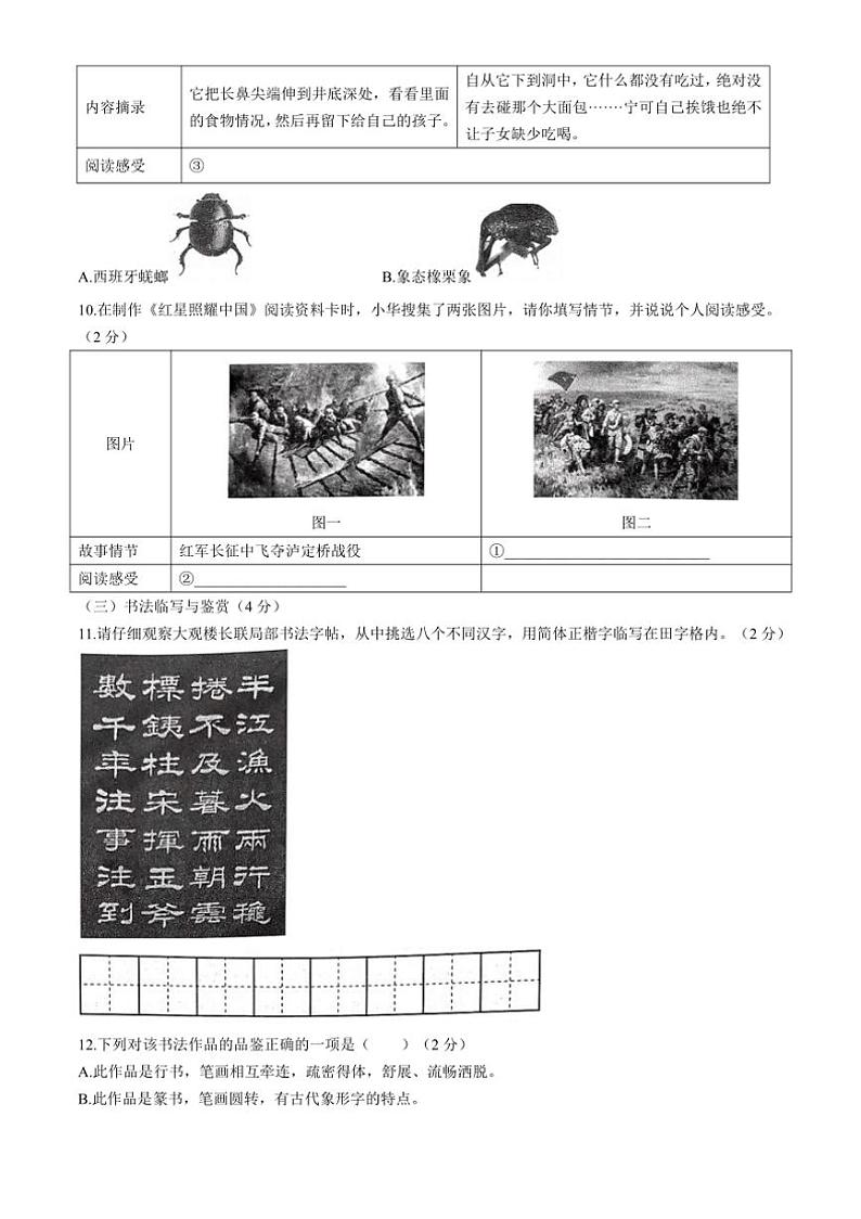 [语文][期末]云南省昆明市嵩明县2023～2024学年八年级上学期期末试题(有答案)03