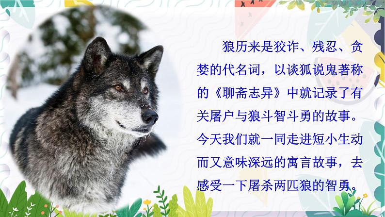 人教版（2024)语文七年级上册 第5单元 20 狼 PPT课件+教案+练习+说课稿02