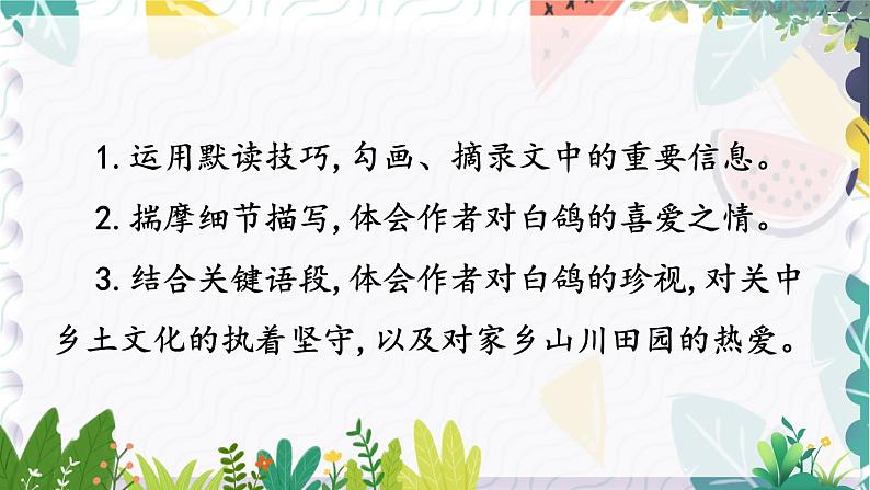 人教版（2024)语文七年级上册 第5单元 18 我的白鸽 PPT课件+教案03