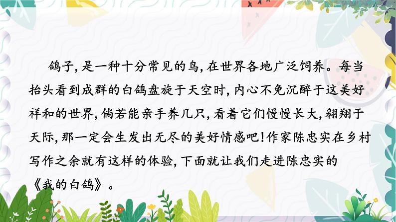 人教版（2024)语文七年级上册 第5单元 18 我的白鸽 PPT课件+教案07