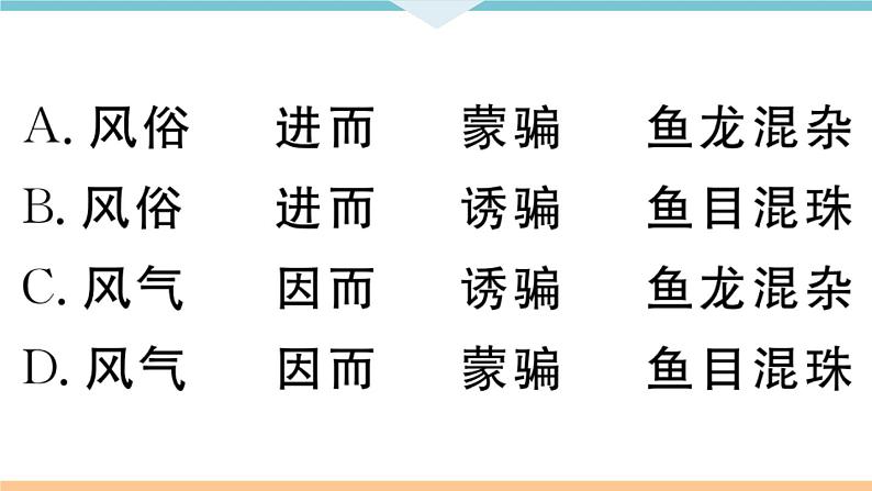 初中人教版九年级下册语文中考专题复习PPT2 专题二第7页