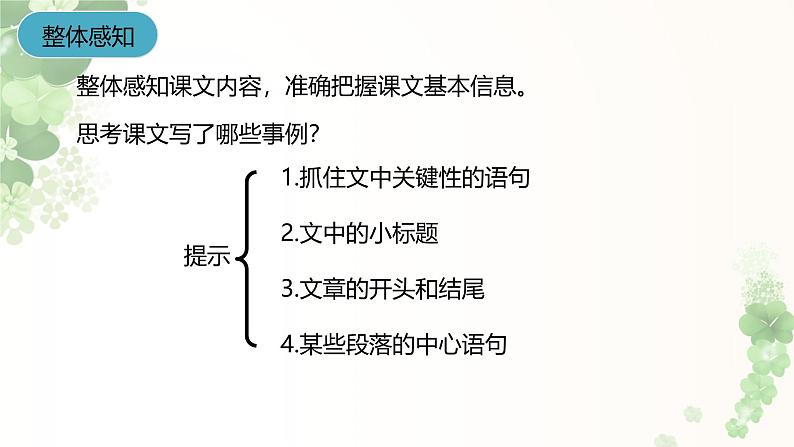 课件：初中语文部编版七年级下册课件、学案及教案第1课 邓稼先07