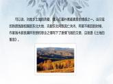 课件：初中语文部编版七年级下册课件、学案及教案第8课 土地的誓言