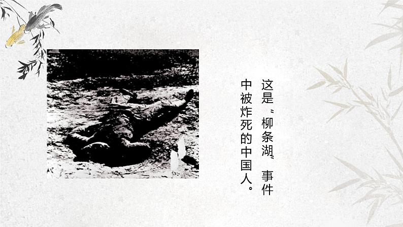 课件：初中语文部编版七年级下册课件、学案及教案第8课 土地的誓言第5页