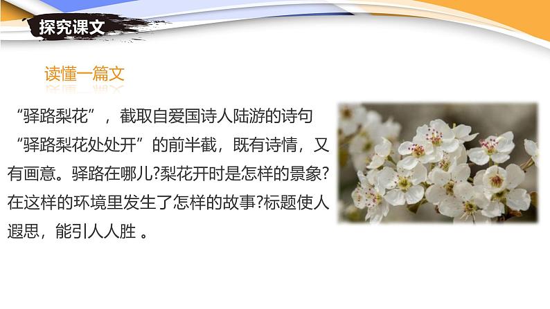 课件：初中语文部编版七年级下册课件、学案及教案第15课 驿路梨花第7页