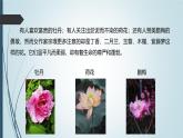 课件：初中语文部编版七年级下册课件、学案及教案第18课 紫藤萝瀑布 第1课时（预学案）
