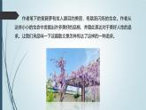课件：初中语文部编版七年级下册课件、学案及教案第18课 紫藤萝瀑布 第1课时（预学案）