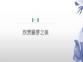 课件：初中语文部编版七年级下册课件、学案及教案第18课 紫藤萝瀑布 第2课时（精读研析）