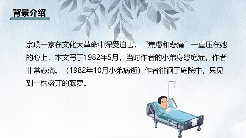 课件：初中语文部编版七年级下册课件、学案及教案第18课 紫藤萝瀑布第3页