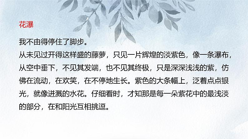 课件：初中语文部编版七年级下册课件、学案及教案第18课 紫藤萝瀑布第6页