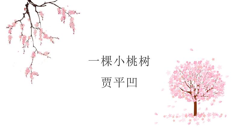 课件：初中语文部编版七年级下册课件、学案及教案第19课 一棵小桃树01