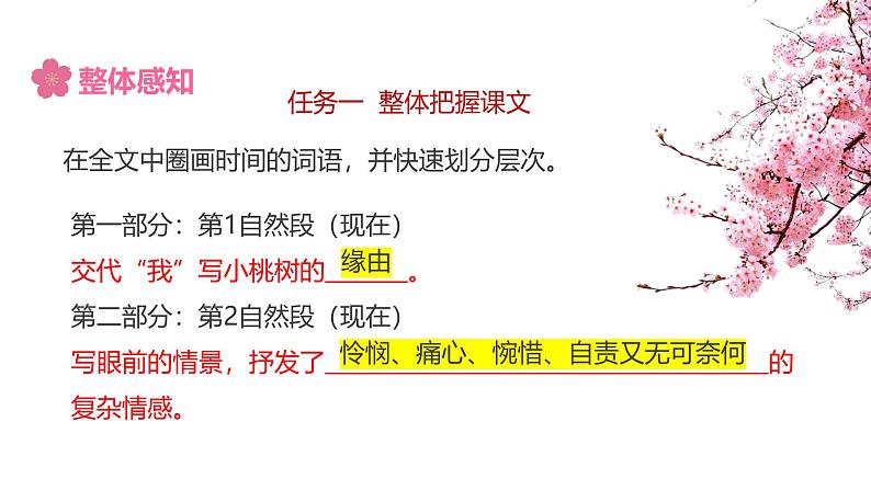 课件：初中语文部编版七年级下册课件、学案及教案第19课 一棵小桃树07