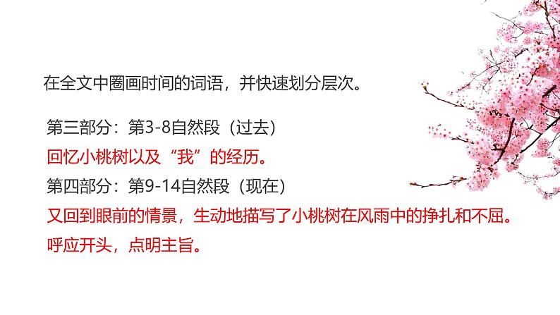 课件：初中语文部编版七年级下册课件、学案及教案第19课 一棵小桃树08