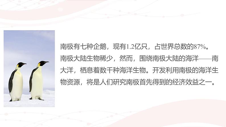 课件：初中语文部编版七年级下册课件、学案及教案第22课 伟大的悲剧第5页