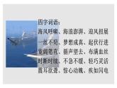 统编版八年级上册语文同步精品课件 04 一着惊海天-目击我国航母舰载战斗机首架次成功着舰（课件）