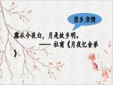 统编版八年级上册语文同步精品课件 11 短文二篇（记承天寺夜游）（课件）
