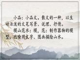 统编版八年级上册语文同步精品课件 12 与朱元思书（课件）