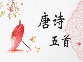 统编版八年级上册语文同步精品课件 13 唐诗五首（课件）