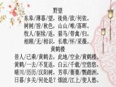 统编版八年级上册语文同步精品课件 13 唐诗五首（课件）