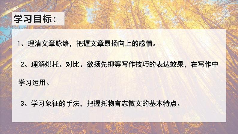 统编版八年级语文上学期课内同步精品课件 第15课 白杨礼赞（课件）第4页