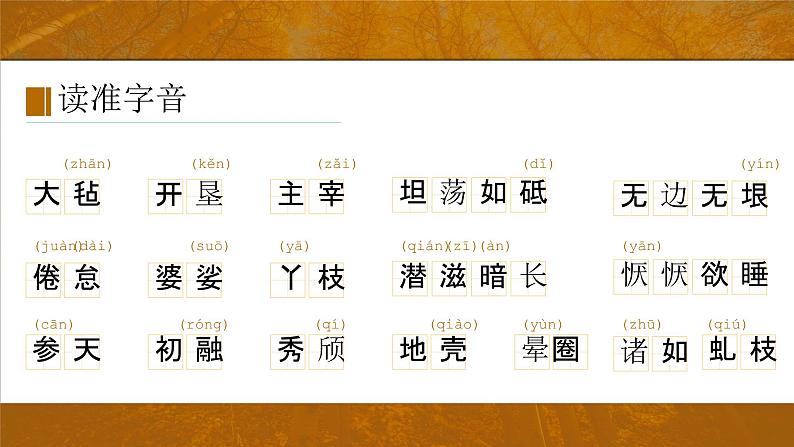 统编版八年级语文上学期课内同步精品课件 第15课 白杨礼赞（课件）第7页