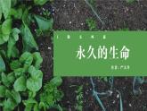 统编版八年级语文上学期课内同步精品课件 第16课 散文二篇·永久的生命（课件）