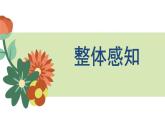 部編版八上語文第六單元課外古詩之《采桑子》同步課件