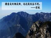 人教版初中语文八年级上册11 短文二篇课件+教案