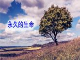 人教版初中语文八年级上册16 散文二篇课件+教案