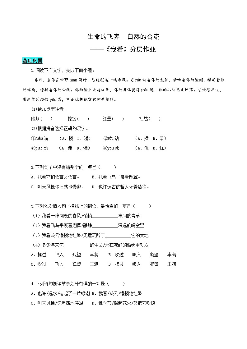 第06课 生命的飞奔 自然的合流——我看（分层作业）（含答案） 2024-2025学年九年级语文上册同步课堂（统编版）（学生专用）01