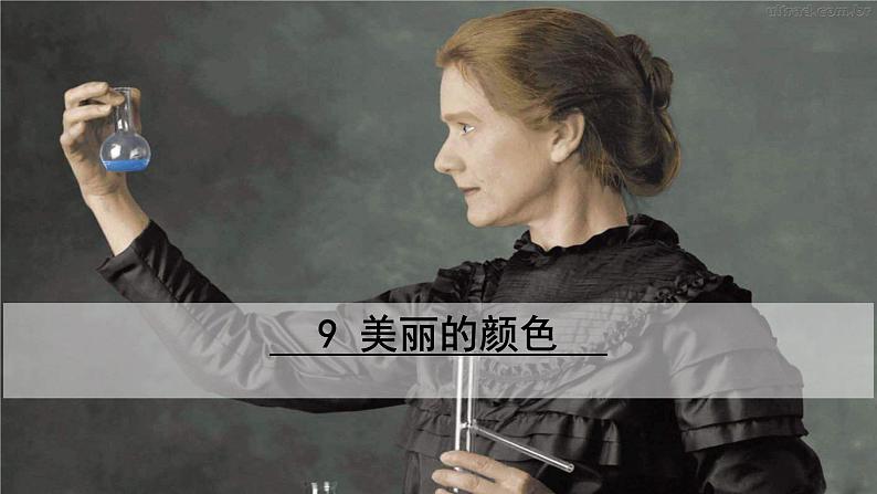 人教版八年级语文上册课件+教案第2单元02