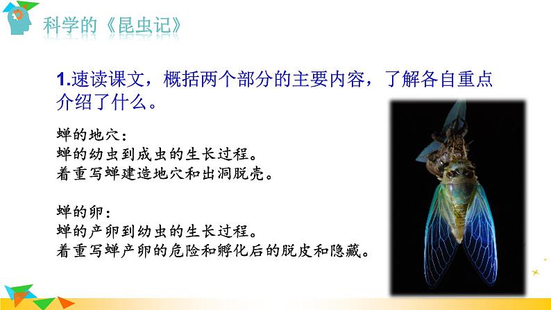 人教版八年级语文上册课件+教案第5单元06