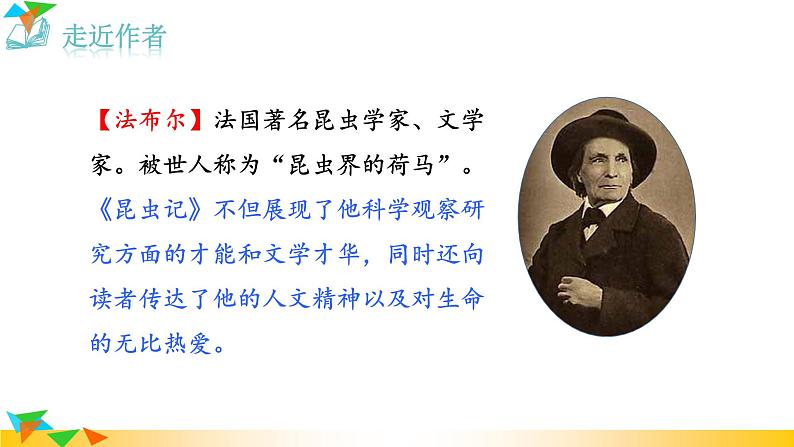 人教版八年级语文上册课件+教案第5单元03