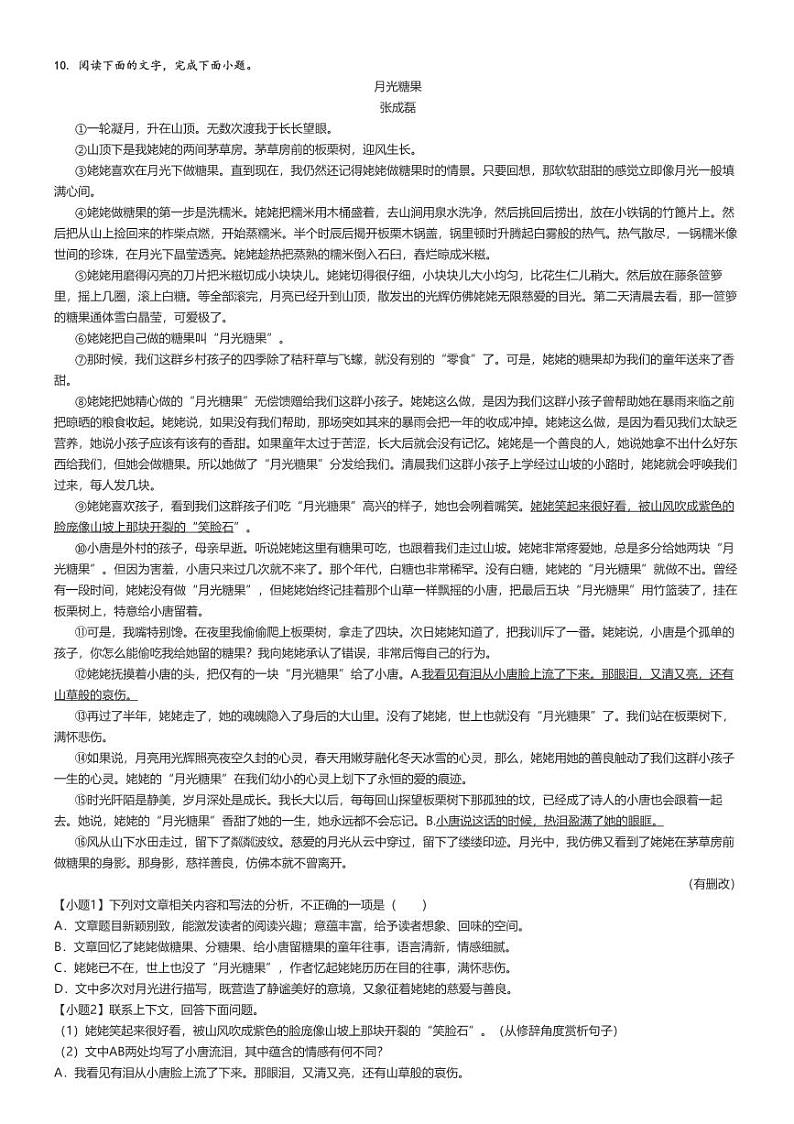 [语文]2024～2025学年四川广安初二上学期开学考试试卷(友实学校)(原题版+解析版)03