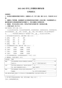 [语文][期末]河南省平顶山市鲁山县2022～2023学年七年级上学期期末试题(有答案)