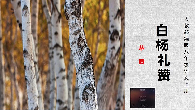 统编版语文八年级上册第15课《白杨礼赞》(课件)第1页