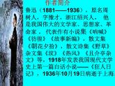 统编版语文七年级上册（2024）第9课《从百草园到三味书屋》（课件）