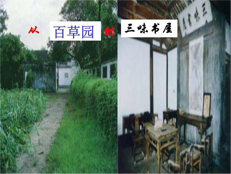 统编版语文七年级上册（2024）第9课《从百草园到三味书屋》课件04