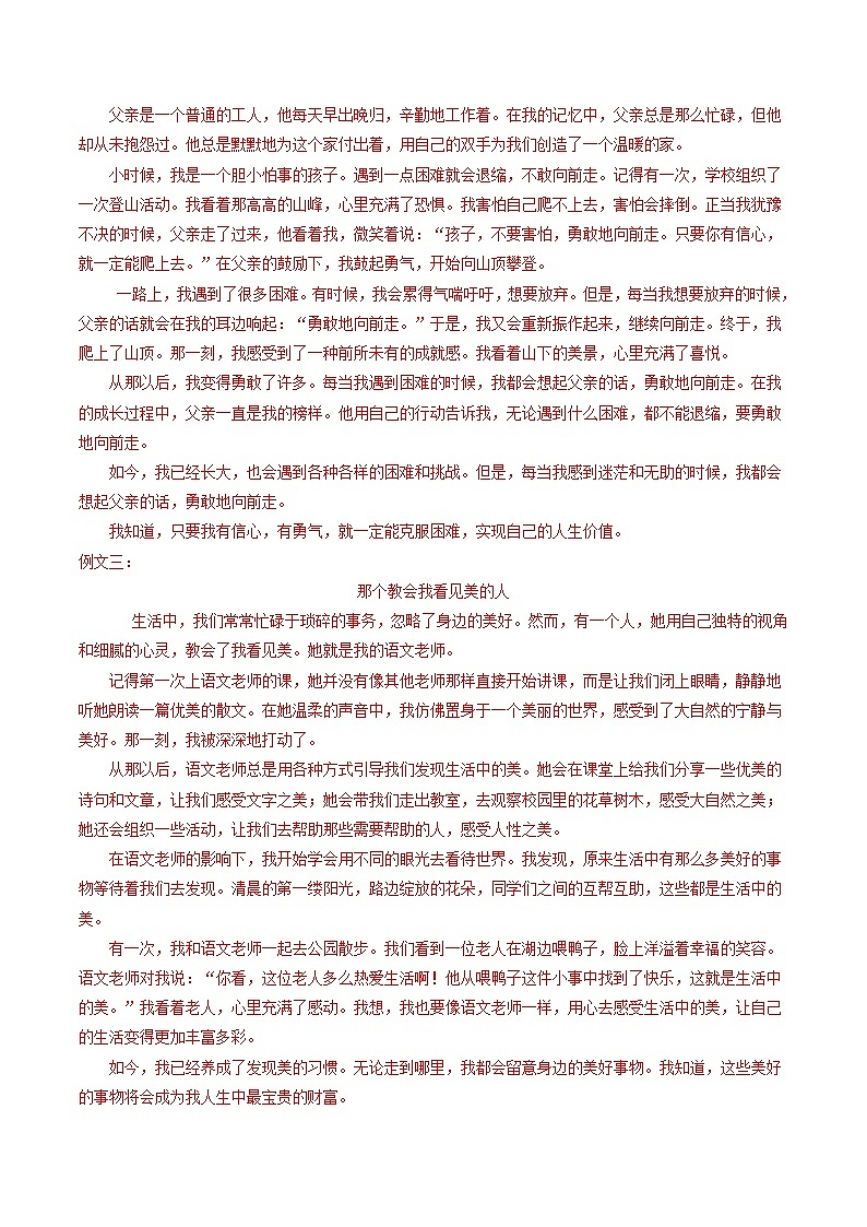 专题12 作文-备战2025年中考语文专项精练（广东广州专用） （解析版）第2页