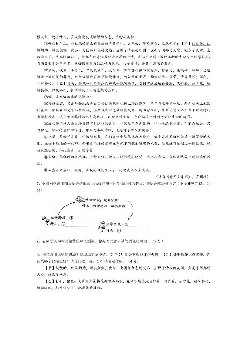 [语文]河南省南阳市镇平县2024～2025学年七年级上学期10月月考试题(有答案)03