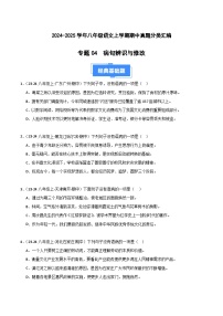 专题03 病句辨识与修改 练习【真题汇编】2024-2025学年八年级语文上学期期中真题分类汇编（统编版全国通用）