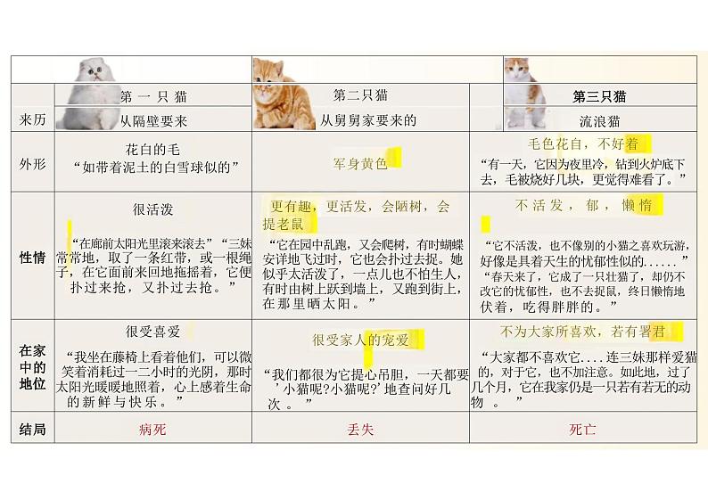 猫课件统编版语文七年级上册第4页